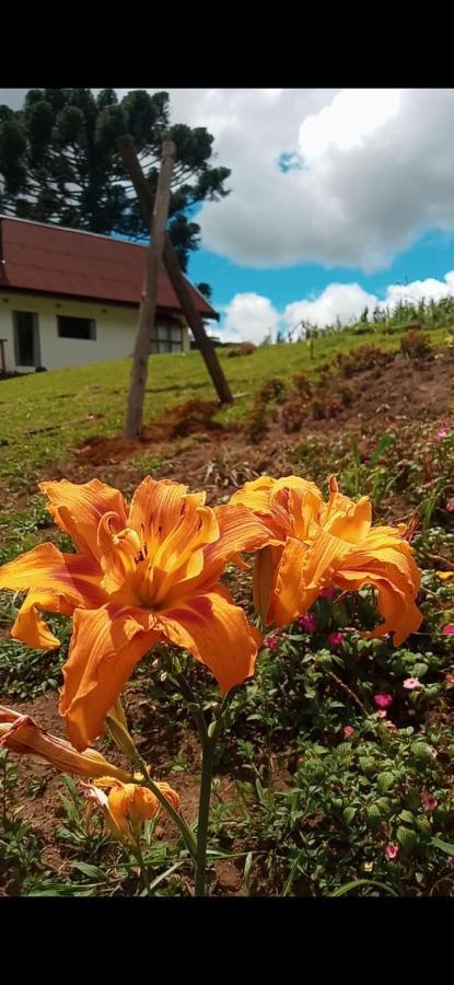 Vila Chale Com Vidros E Hidromassagem São Bento do Sapucaí Exteriér fotografie
