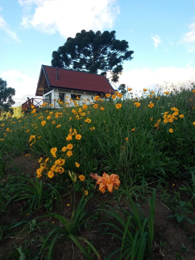 Vila Chale Com Vidros E Hidromassagem São Bento do Sapucaí Exteriér fotografie